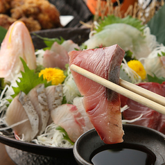 本日の産直鮮魚