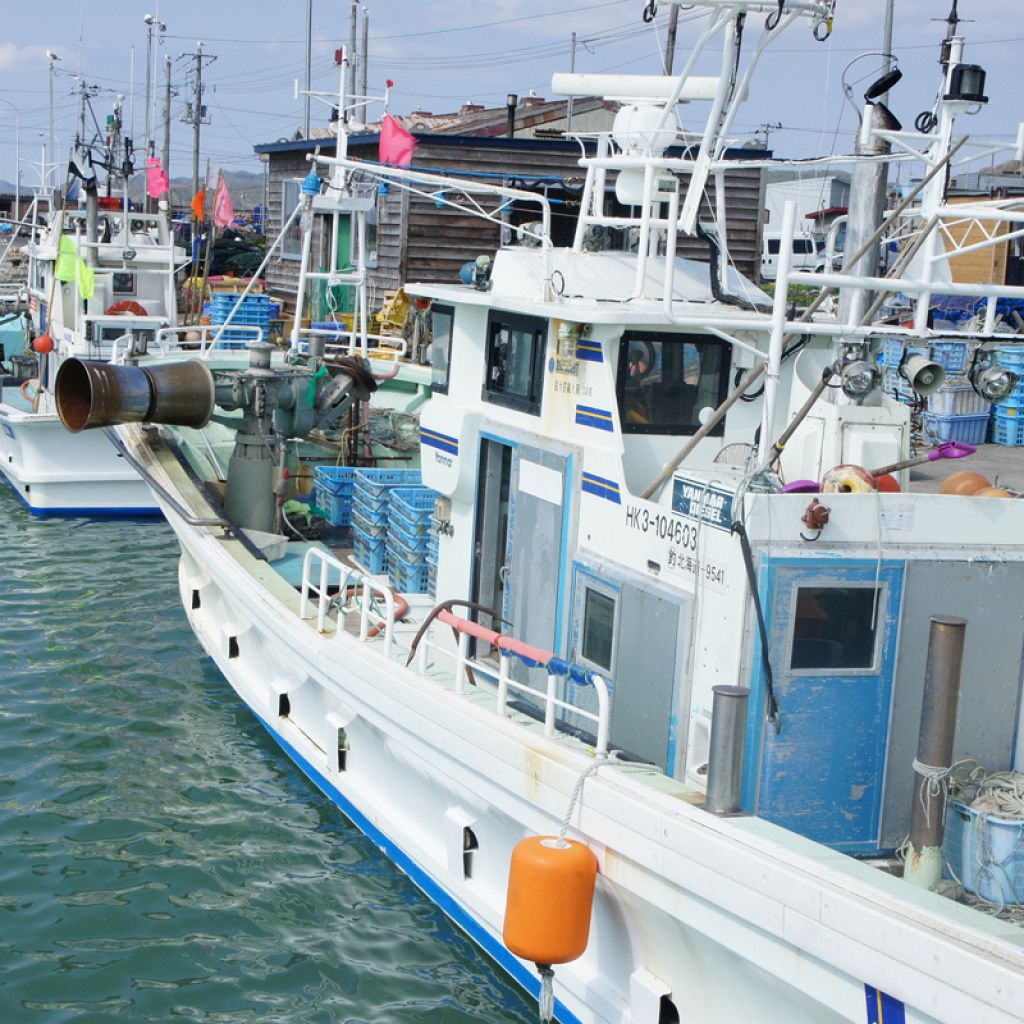北海道各地の漁港から直送の新鮮魚介