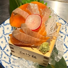 サーモン刺身