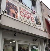保護犬カフェ寺田町店