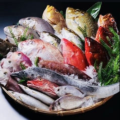 【週末限定!】朝獲れ高級魚のお造り