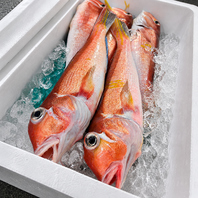市場直送の新鮮な魚介