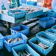 漁港から直送！鮮度抜群の朝獲れ地魚