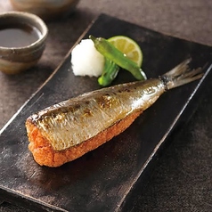 やひろ丸 新橋港 漁師が目利きの海鮮酒場のコース写真