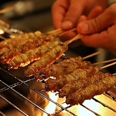 武蔵小山　神鶏の特集写真