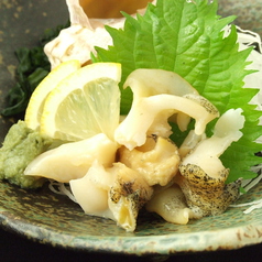 北海道産殻付きつぶ貝