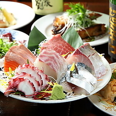 魚火 柏のコース写真