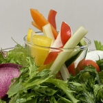 旬野菜を使った食楽サラダ★中央はバーニャカウダ仕立て♪人気メニューをぜひ、彩り豊かな一皿です！