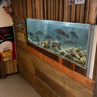 店内生け簀で管理