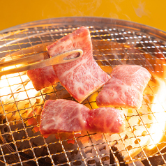 焼肉ホルモン やまびこ畜産 京橋店特集写真1