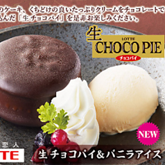 生チョコパイ＆バニラアイス/ダブルベリーケーキのストーンアイス