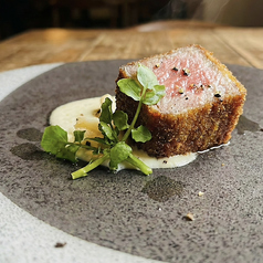 ALITAREの特集写真