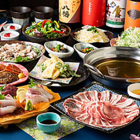 ������ ���뉮�����������w�X