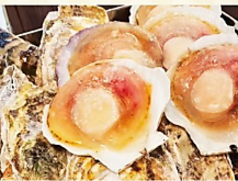 牡蠣小屋　牡蠣乃屋　佐世保店の特集写真