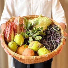 とれたて新鮮な地野菜