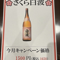 3月限定！さくら白波のボトルを1,650円でご用意