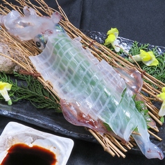 天神居酒屋 あじろのコース写真