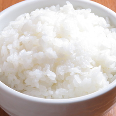 【セットA】ライス