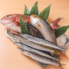 ハマの台所 タケの特集写真