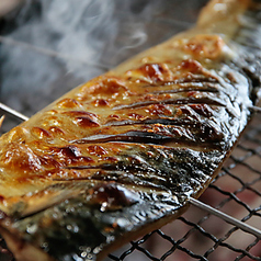 炙り焼き鯖