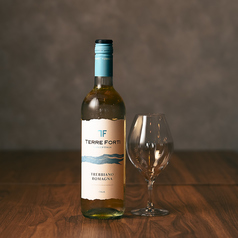 テッレフォルティ ロマーナトレビアーノ グラス(イタリア)