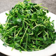 トウミョウの炒め