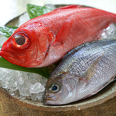 新鮮なお魚をお客様に食べていただきい