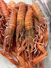 シクラメンテ siculamenteのコース写真