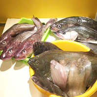 ◆銚子港直送の鮮魚◆