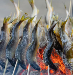 囲炉裏の火を囲みながら、ほのかに香る炭火の香りとともに、焼きたての魚を堪能することができます。