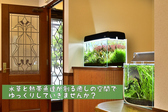 Coffee&Aquarium Cafe Grass R[q[AhANAE JtFOX ʐ^