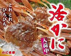 かに道楽 松山店の写真