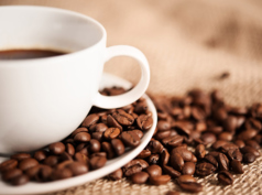 ドリンクメニューも豊富