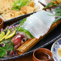 泳ぎイカ お造り＆日替わり鮮魚も数量限定で提供中♪