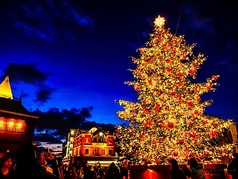 路地裏イタリアン ミモザ 梅田店のコース写真