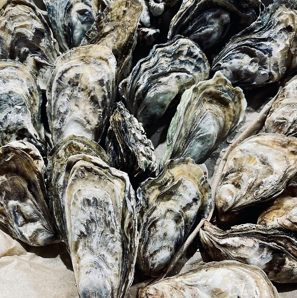 贅沢で特別感あふれる牡蠣は非日常的な食体験をもたらし、おもてなしのプランとしてもおすすめです◎