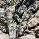 贅沢で特別感あふれる牡蠣は非日常的な食体験をもたらし、おもてなしのプランとしてもおすすめです◎
