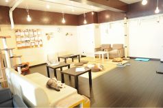 猫といえば座敷！まったりムードの和風空間