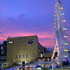 family cafe restaurant freely ファミリーカフェレストラン フリーリーのコース写真