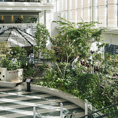 都会の喧騒から離れた、地下1階の隠れ家空間。地下から4階まで吹き抜けになった開放的な造りが特徴です。店内は木々に囲まれ、大きな窓からは日の光が差し込み、穏やかな時間が流れます。都会にいながら、自然を感じられる癒しの空間で、ゆったりとお過ごしください。