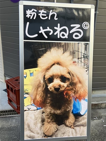西成　居酒屋　三角公園　お好み焼き