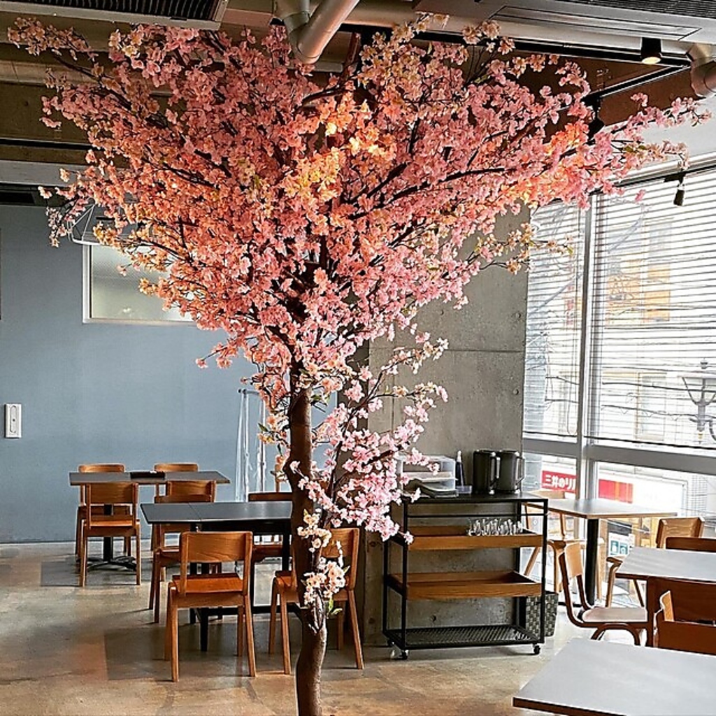 春には桜をイメージした内観に！季節ごとの雰囲気も、店内でお楽しみ頂けます。