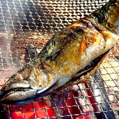 エビス 戸越総本店のコース写真