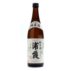 浦霞 純米