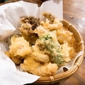 大衆焼肉 ホルモン天ぷら サコイ食堂のおすすめ料理1