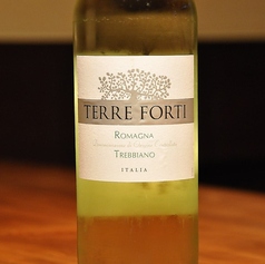 テッレ フォルティ