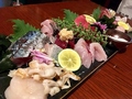 料理メニュー写真 神奈川県三浦半島より、鮮魚の盛り合わせ
