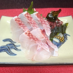 赤マチ刺身