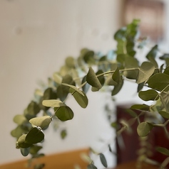 み さ と さの雰囲気3