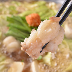 博多名物もつ鍋あごだし醤油　一人前